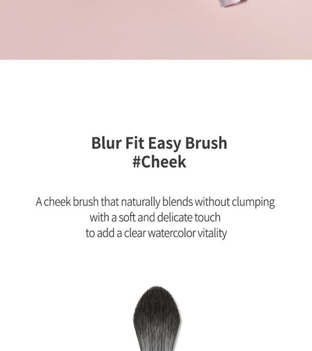 2aN - Blur Fit Easy Brush Cheek, 1 pc, 50 g, 8809689210357