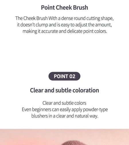 2aN - Blur Fit Easy Brush Cheek, 1 pc, 50 g, 8809689210357