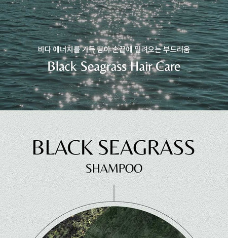 Nacific - Black Seagrass Shampoo, 250ml, 600 g, 8809517465317