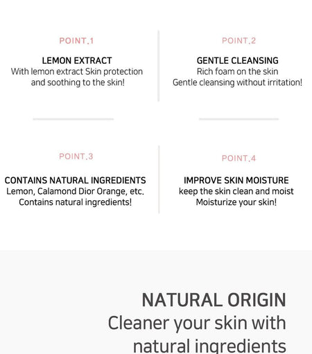 LEBELAGE - Fruit Lemon & Calamansi Cleansing Foam, 100ml, 120 g, 8809679092413