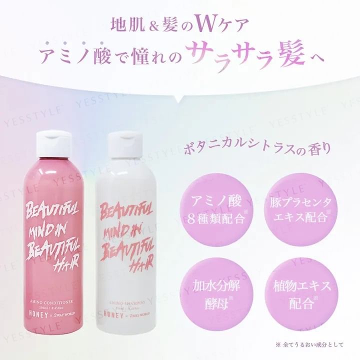 2WAY WORLD - HONEY x 2WAY WORLD Amino Shampoo, 250ml, 300 g, 4540811800742