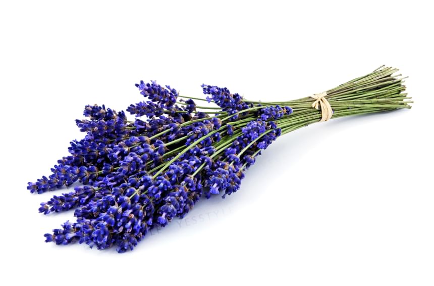 the product - Hair Shine Serum, 50ml, 117 g, 4562367271418