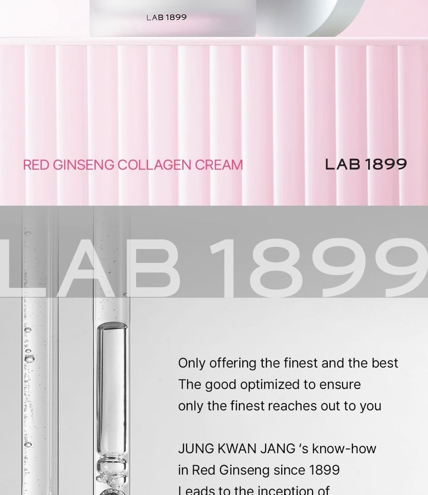 DONGINBI - LAB 1899 Red Ginseng Collagen Cream, 50ml, 215 g, 