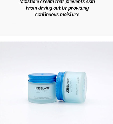 LEBELAGE - Super Aqua Moisture Cream, 70ml, 193 g, 8809679093267