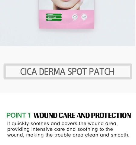 LEBELAGE - Cica Derma Spot Patch, 40 patches, 5 g, 8806035118107