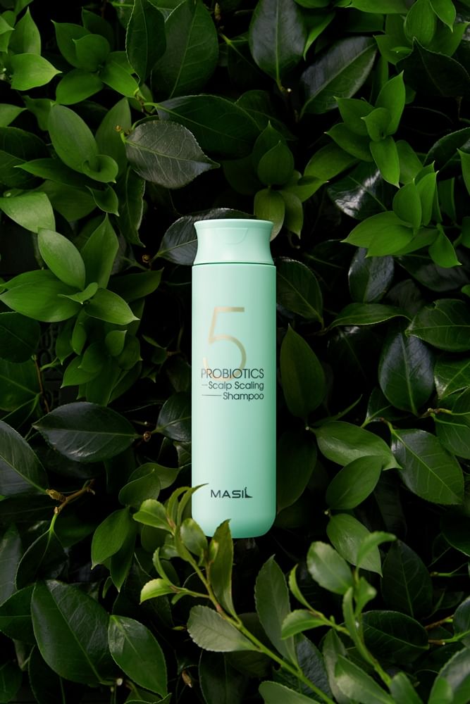 MASIL - 5 Probiotics Scalp Scaling Shampoo Mini, 150ml, 206 g, 8809744060569