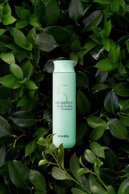 MASIL - 5 Probiotics Scalp Scaling Shampoo Mini, 150ml, 206 g, 8809744060569