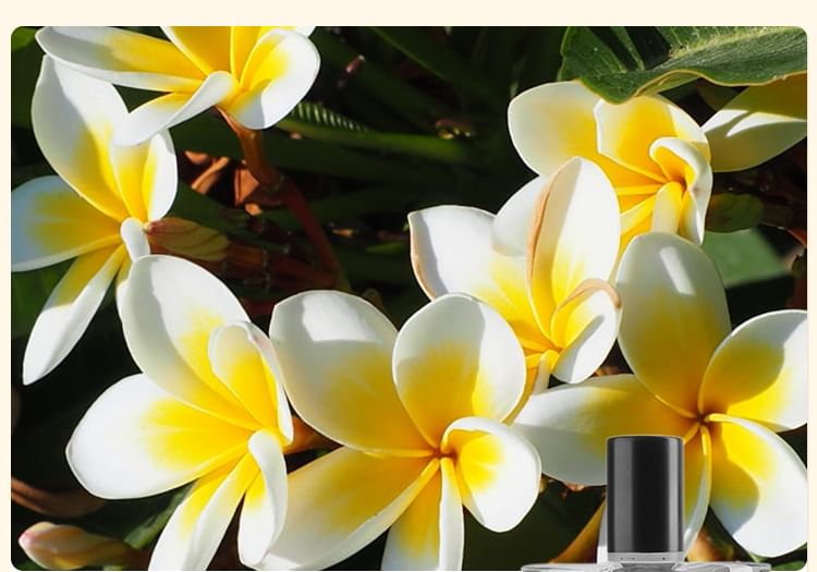 COLORROSE - Tiger Collection Parfum - CR575 Doomsday Aurora, CR575 Doomsday Aurora - 100ml, 360 g, 6970392418728