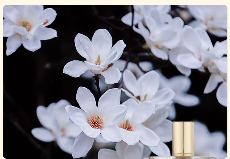 COLORROSE - Tiger Collection Parfum - CR576 The Shadow, CR576 The Shadow - 100ml, 360 g, 6970392418735
