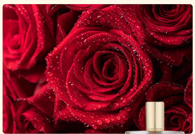 COLORROSE - Tiger Collection Parfum - CR577 ME, CR577 ME - 100ml, 360 g, 6970392418742