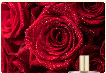 COLORROSE - Tiger Collection Parfum - CR577 ME, CR577 ME - 100ml, 360 g, 6970392418742