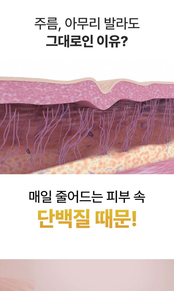 SUNGBOON EDITOR - Silk Peptide Intensive Lifting Cream, 50ml, 125 g, 8800253020372