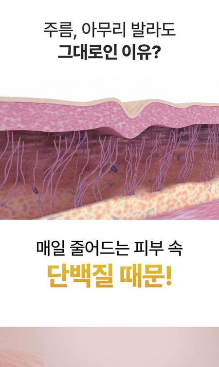 SUNGBOON EDITOR - Silk Peptide Intensive Lifting Cream, 50ml, 125 g, 8800253020372