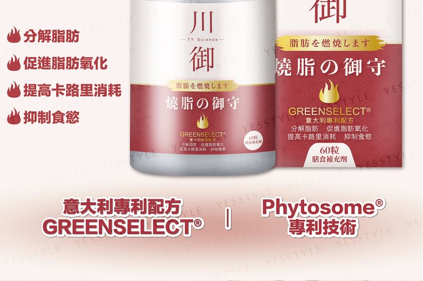 TY Science - SlimBurn Burning Fat, 60 capsules, 100 g, 