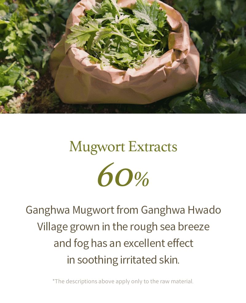 I’m from - Mugwort Gel Cleanser Mini, 30g, 46 g, 8809525932900