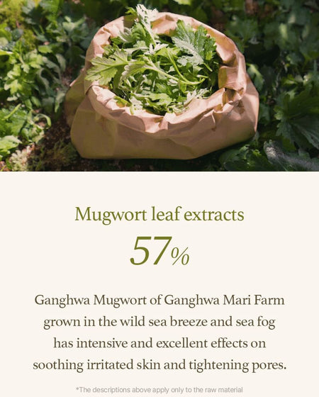 I’m from - Mugwort Serum, 30ml, 124 g, 8809525932719