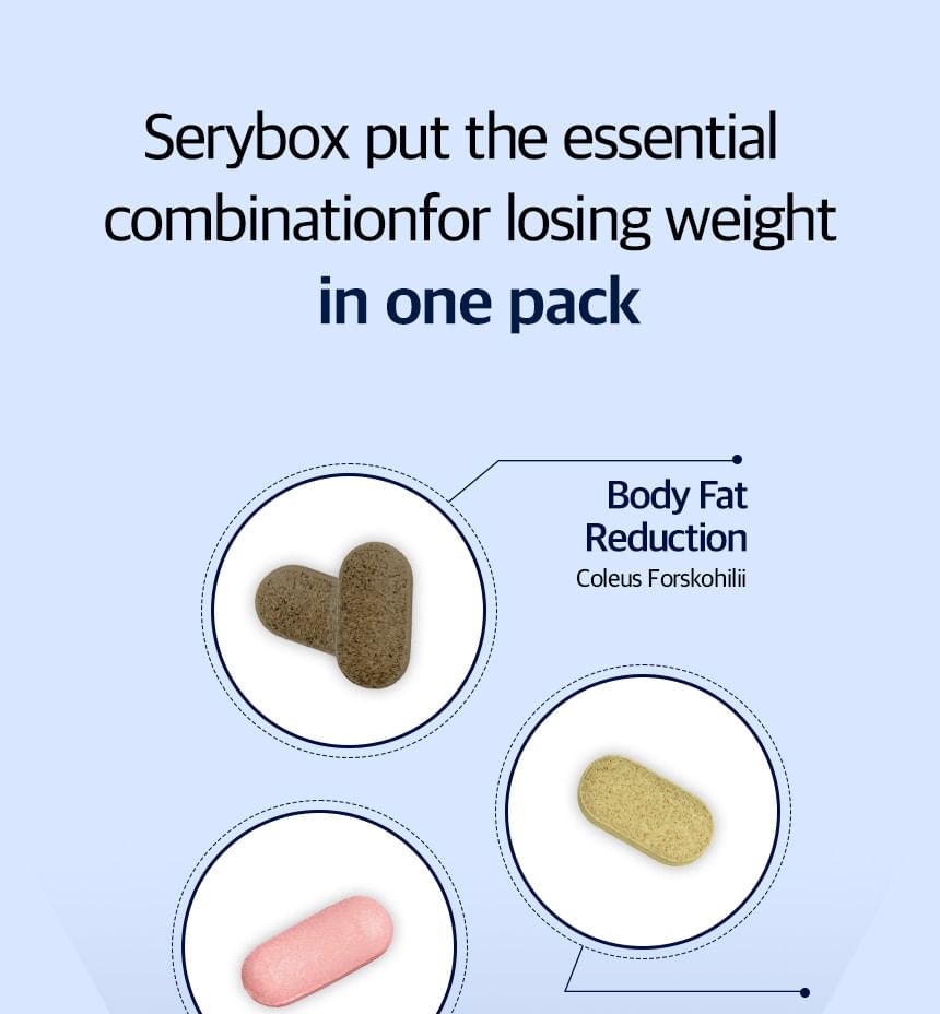 SERY BOX - Seryburn Night V2, 28 packets, 264 g, 8809668709988