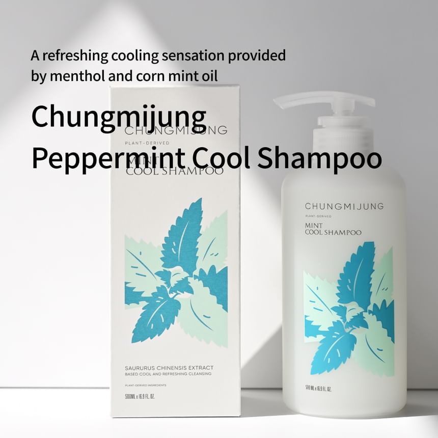 CHUNGMIJUNG - Mint Cool Shampoo, 500ml, 1000 g, 8809342212544
