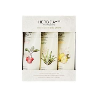 THE FACE SHOP - Herb Day 365 Master Blending Cleansing Foam Special Set, 3 pcs, 652 g, 8806182588556