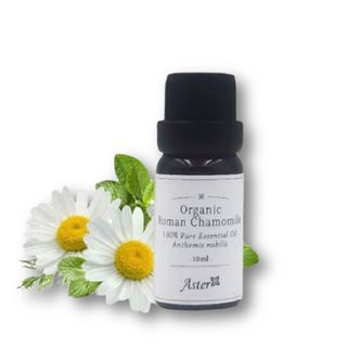Aster Aroma - Organic Roman Chamomile Essential Oil, 10ml, 54 g, 489020400010