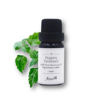 Aster Aroma - Organic Patchouli Essential Oil, 10ml, 54 g, 489020360010