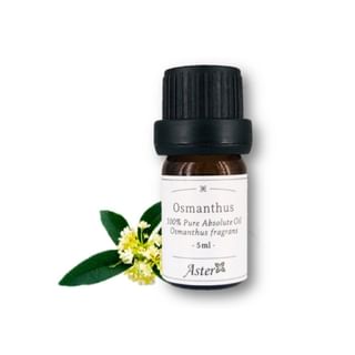 Aster Aroma - 100% Pure Absolute Oil Osmanthus Fragrans, 5ml, 45 g, 489020640005