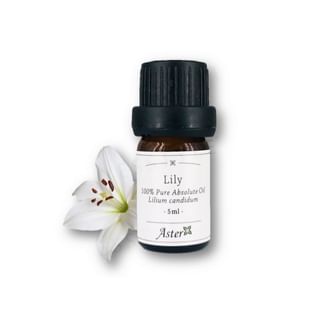 Aster Aroma - 100% Pure Absolute Oil Lily Lilium Candidum, 5ml, 45 g, 489020670005