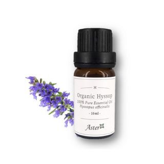 Aster Aroma - 100% Pure Essential Oil Organic Hyssop Hyssopus Officinalis, 10ml, 54 g, 489020180010
