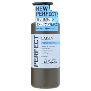 Mandom - Gatsby Perfect Shampoo, 380ml, 452 g, 4902806118780