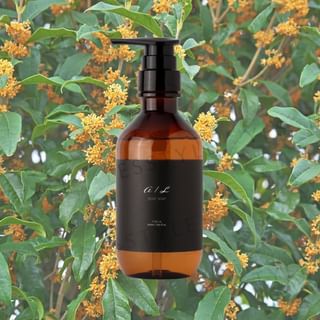 ainaLyra - Body & Hand Wash, 400ml, 450 g, 4588967210814