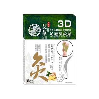 Health Workshop - 3D Artemisia Argyi Moxibustion Foot Patch, 12 pcs, 100 g, 4897007088751
