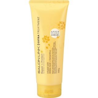 KUMANO COSME - Salon Link Extra Treatment Repair & Protect, 300g, 350 g, 4513574040168