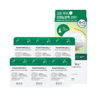 BIOHEAL BOH - Panthecell Repair Cica Micro Spot Patch, 12 patches, 34 g, 8809408022148
