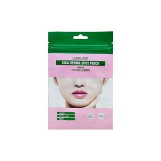 LEBELAGE - Cica Derma Spot Patch, 40 patches, 5 g, 8806035118107