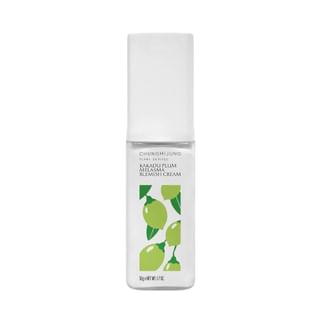 CHUNGMIJUNG - Kakadu Plum Melasma Blemish Cream, 50ml, 130 g, 8809342218119